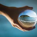 The Importance of a Global Mindset and Adaptability