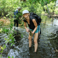 Exploring the World: A Guide to Volunteer and Service Programs