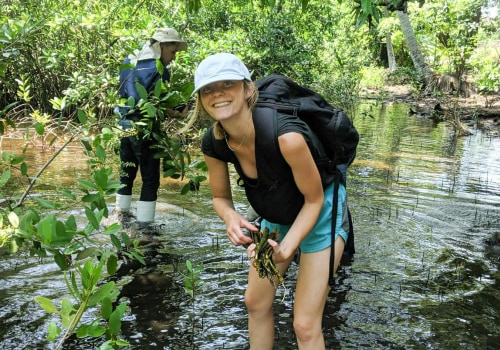 Exploring the World: A Guide to Volunteer and Service Programs